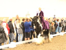 IMG_5412_web